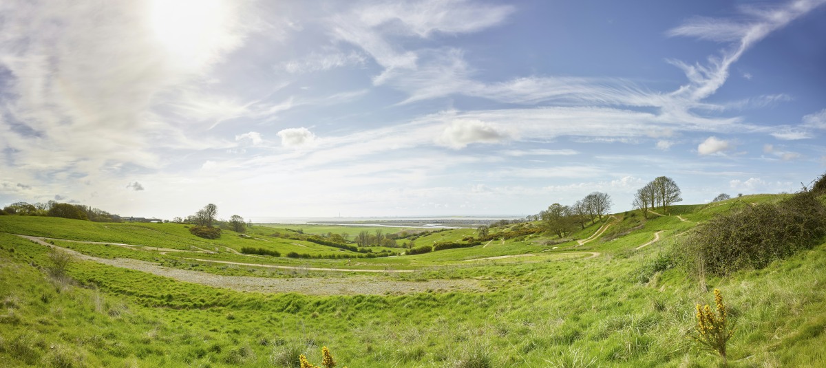 LSI_Architects_Hadleigh_Park_Visitor_Centre_01
